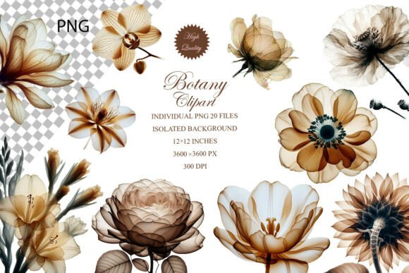 Beige Botanical Flowers Clipart Set PNG: Elevating Design with Timeless Elegance