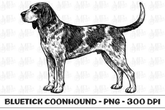 Bluetick Coonhound Dog Sketch PNG: A Practical Asset for Creative Projects