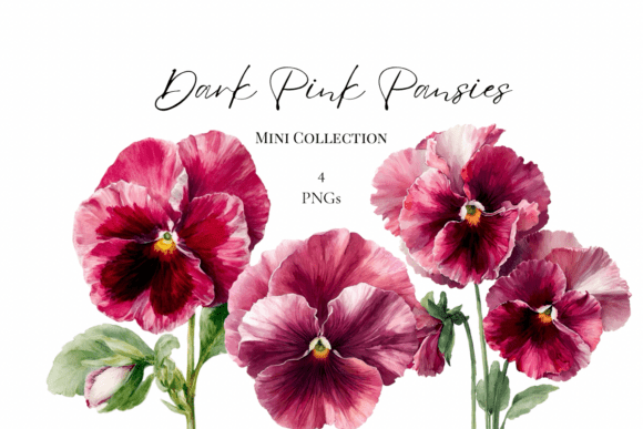 Dark Pink Pansies Clipart: Elevating Your Floral Designs