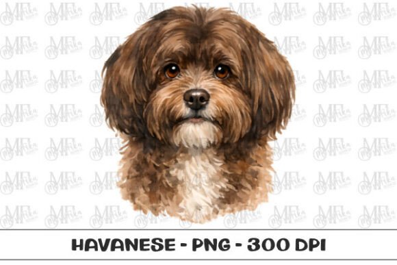 Havanese Watercolor Portrait PNG for Creators