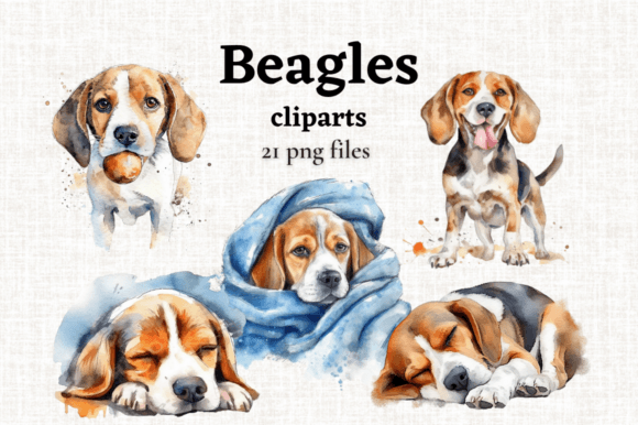 Watercolor Beagle Clipart & Dog Clipart